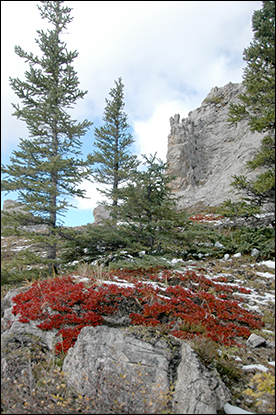 Rocky Mountain Cabins Rocky Mountain Cabins