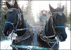 Entrance Ranch and log cabins Sleigh Rides